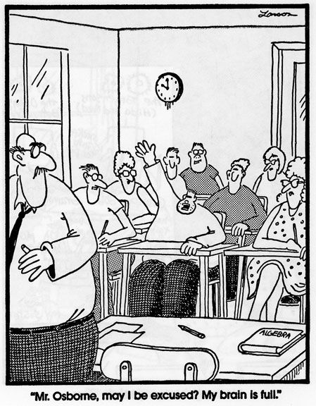 Farside Comic My Brain Is Full